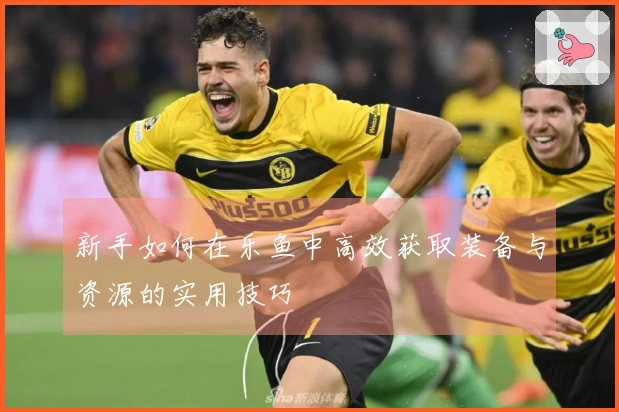 新手如何在乐鱼中高效获取装备与资源的实用技巧